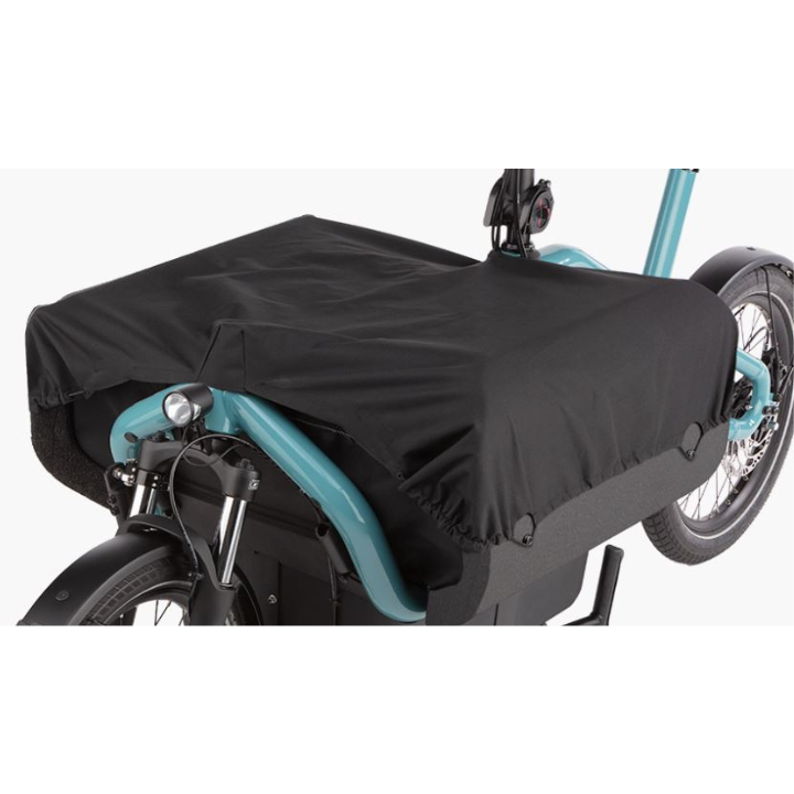 RIESE&MULLER CARRIE VARIO - aqua - 545 Wh